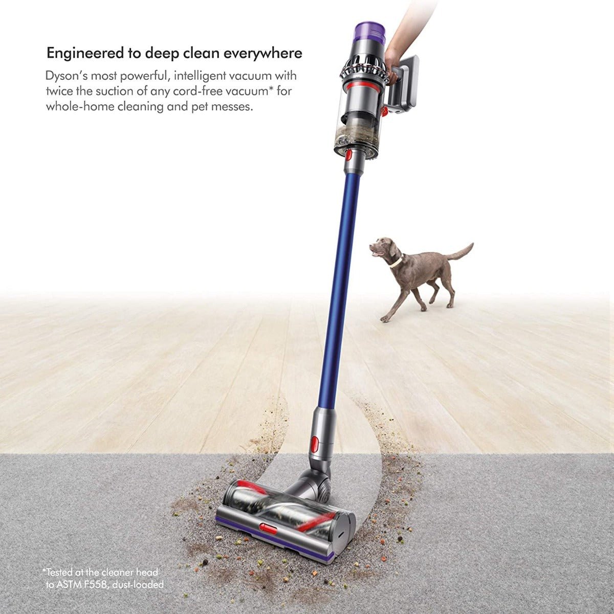 Dyson V11 220 volts Torque Drive Cordless Stick Vacuum 220v 240 volt 50 hz v11 - 220 - Electronics