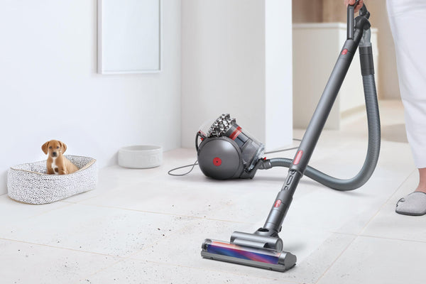 Dyson DC75 Cinetic Big Ball Vacuum Cleaner