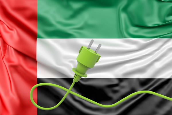 Voltage Converters for the U.A.E.