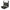 220 Volt Sandwich Maker