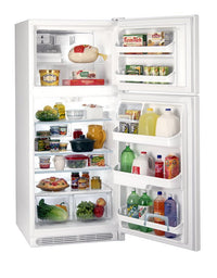220 Volt Frigidaire FGTD23V5W 23 Cu. Ft. Top Mount Refrigerator - 220v volt electronics