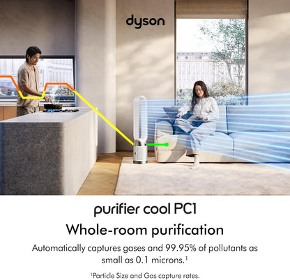 Dyson TP11220v 220 volts Cool Air Purifier with Fan formaldehyde Hepa H13 purifier 220v 50 hz