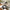 Black and Decker 220 volt Digital Air Fryer AF400 - B5 4 Liter Air Fryer 220V 240 Volts 50 hz - 220 - Electronics