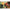 Black and Decker KX1650 - GB Heat Gun 220 240 Volts - 220 - Electronics