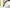 Black and Decker VM1450 - B5 1.6 Liter Vacuum Cleaner 220 240 Volts - 220 - Electronics