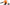 Black & Decker 220 volts Leaf Blower BDB530 220v 240 volts 50 hz - 220 - Electronics