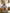 Black & Decker DV9610 Cyclonic 9.6 Volt Dustbuster Handheld Vacuum 220 volts 50 hz - 220 - Electronics