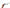 Black & Decker DV9610 Cyclonic 9.6 Volt Dustbuster Handheld Vacuum 220 volts 50 hz - 220 - Electronics
