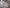 Black and Decker X1060 220 Volt Cordless Iron