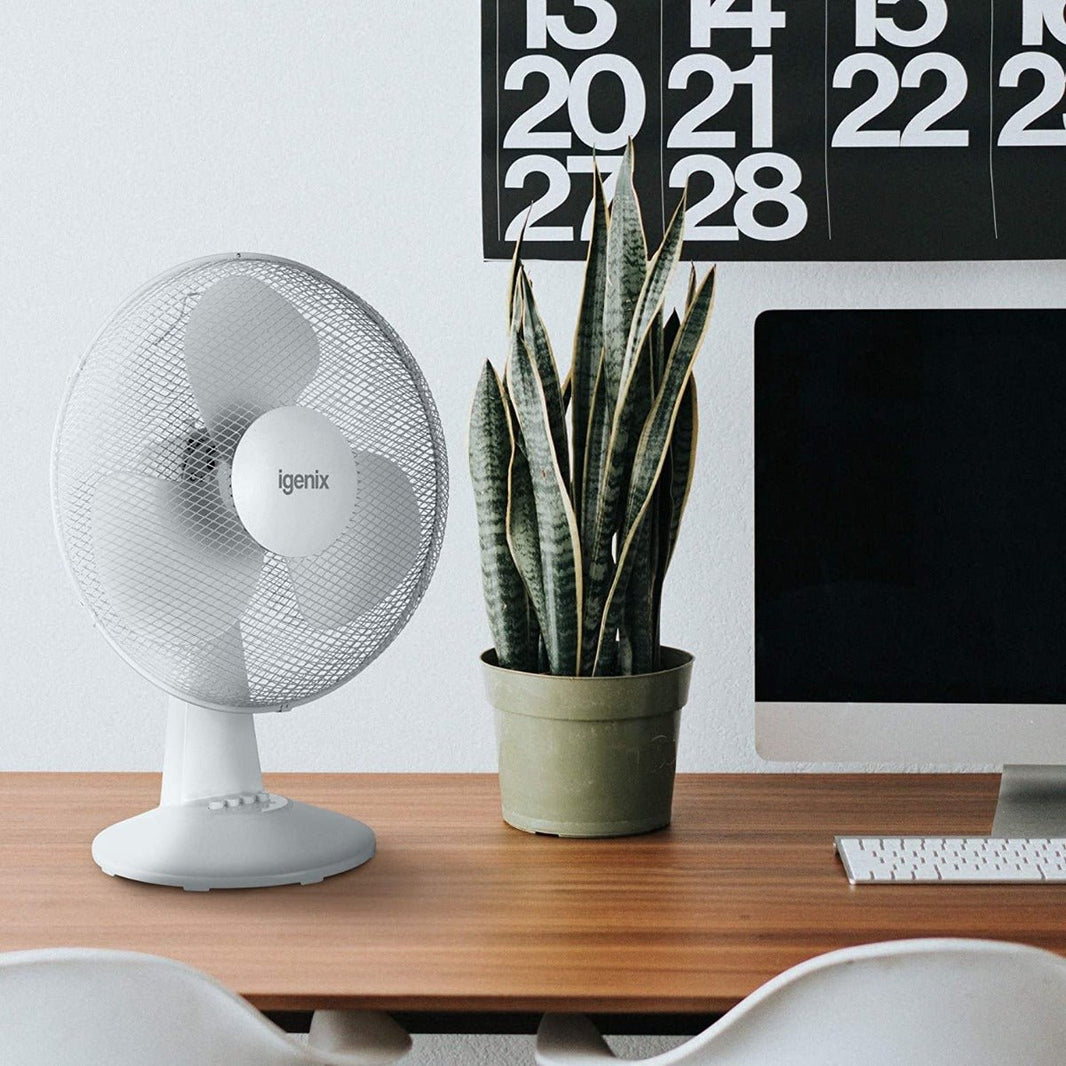 Dynastar 220 volts Desk Fan IGENIX - DF1610 Desktop fan 16" Oscillating quiet 220v 240 volt - 220 - Electronics