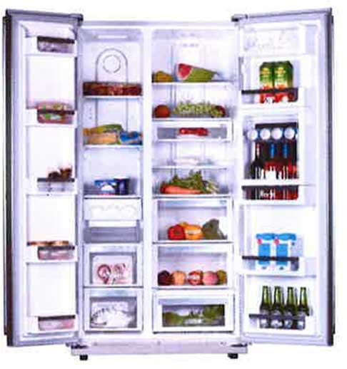 EF - Fisher and Paykel EFF558SBSMD Side by Side Stainless Steel Refrigerator for 220 volts 50 hz - 220 - Electronics