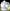 Frigidaire FD5161 220 Volts 1 Liter Capacity 30 Watts Citrus Juicer
