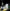 Frigidaire FD5108 220 Volts 2 Speed 300 Watts Hand Blender