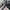 Hoover cruise 220 Volt Cordless Vacuum 220v 240 volts TBTTV3T1 / BH52210PC CRUISE - 220 - Electronics