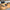 Morphy Richards 220 volt hand blender 220v 240 volts Powerful 600 watts  402061 - 220 - Electronics