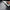 Russell Hobbs 220 volts Steam Iron Power steam Generator non stick 2400 watts 110g shot of steam 220v 240 volt model RH24420 - 220 - Electronics
