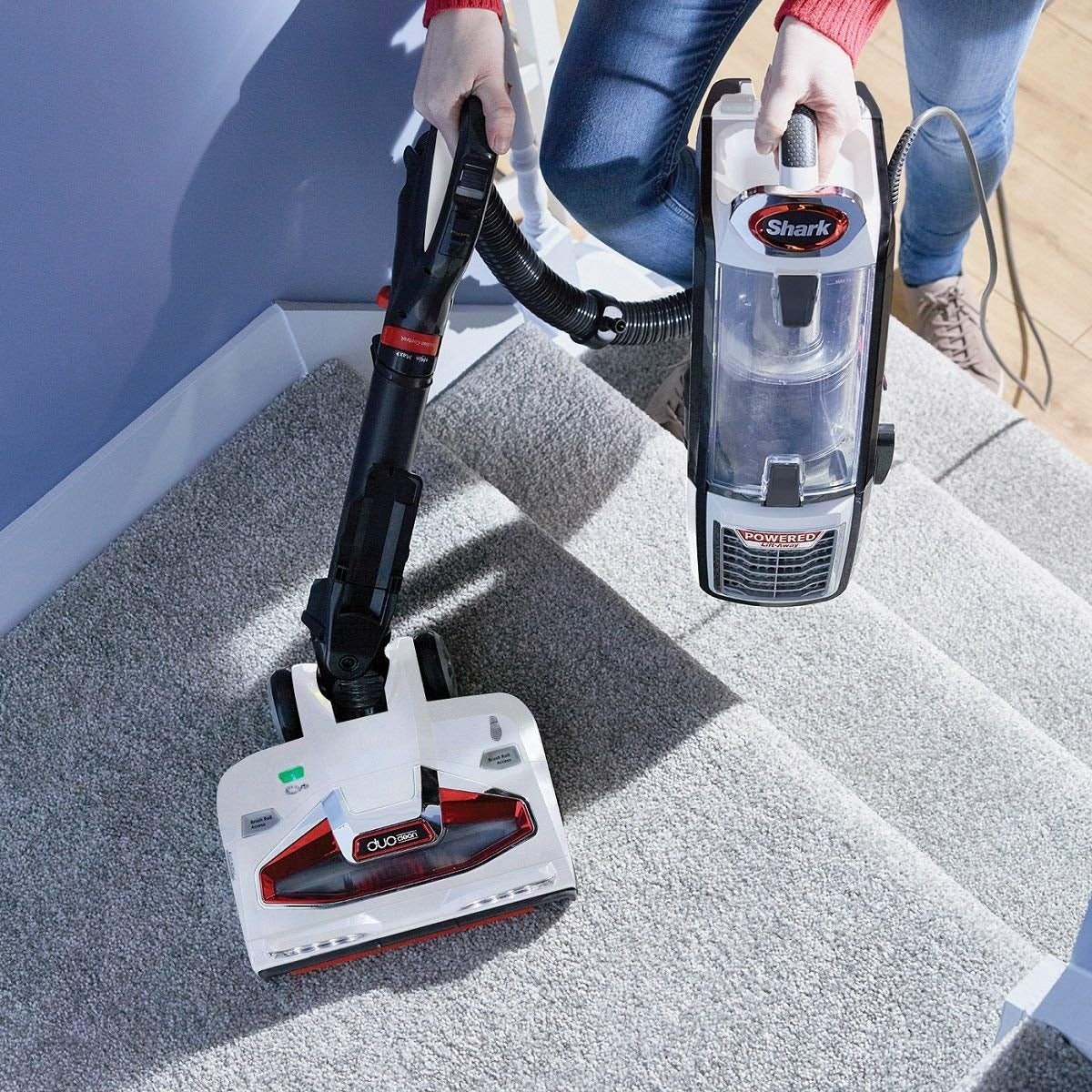 SHARK 220 volt vacuum NV801 UPRIGHT VACUUM CLEANER POWERED LIFT - AWAY, POWERFUL, WHITE AND CHARCOAL GREY 220v 240 volts - 220 - Electronics