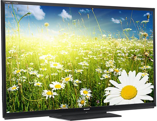 テレビ(SHARP) 80” Sharp AQUOS LED HDTV Rentals - Rentex