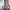 VonHaus 1500W SDS Drill for 220 Volts Use - 220 - Electronics