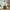 Vonshef 220 Volt Blender Professional 1500W 13315 like Vitamix 220v 240 volts - 220 - Electronics
