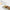 Vonshef 220 volts buffet warmer 4 Pan Buffet Server food warmer 220v 240 volts 50 hz 2000161 - 220 - Electronics