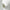 Westinghouse WKWK1001 220 / 240 Volts 50 hz Electric Kettle 1.7 Liter 1850 Watts - 220 - Electronics