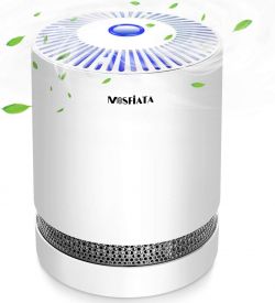 Dynastar Fiata P03 220 volt Air Purifier True Hepa & Carbon Filters, air cleaner with night light 220V 240 volts