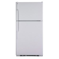 GE GTE25DBT 220-240 Volt Refrigerator