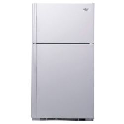 GE PTE22LBT WW 220-240 Volt Refrigerator