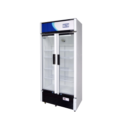 Dynastar VC6500AWHVSS Two door 220 volt commercial refrigerator glass door fridge 508  liter Vertical Cooler  220v 240 volts 50 hz 